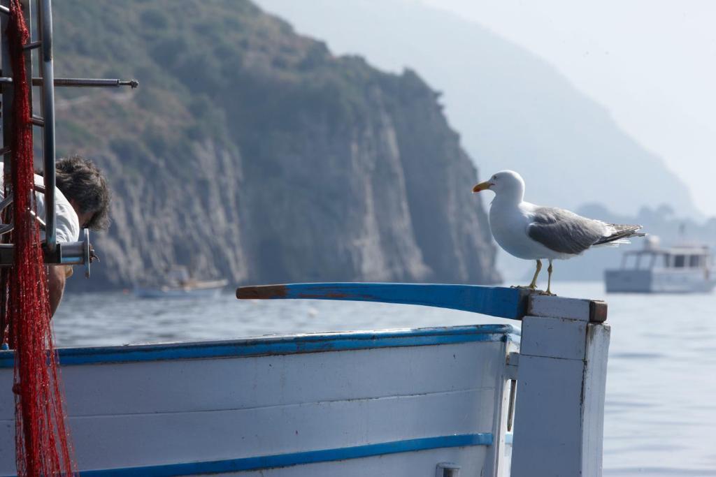 Taverna Del Capitano Marina del Cantone المظهر الخارجي الصورة